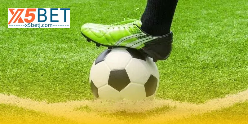 Sbobet - ล็อบบี้กีฬาคุณภาพที่ x5bet 2